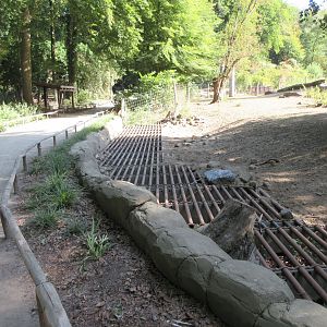 Manitoba - Wood Bison Exhibit - barriers