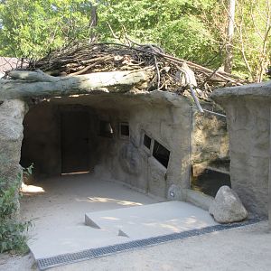 Manitoba - Canadian Beaver Dam
