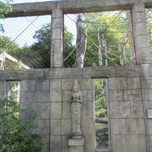 Angkor Wat - Red Panda/Tufted Deer Exhibit
