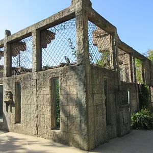 Angkor Wat - Sumatran Tiger Exhibit