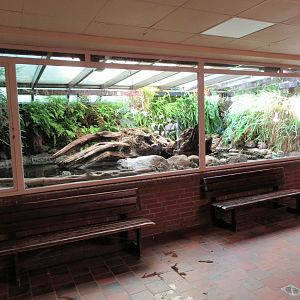 Aquarium/Reptile House - assorted turtle species