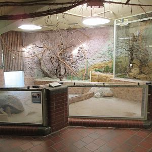 Aquarium/Reptile House - Aldabra Tortoise indoor area