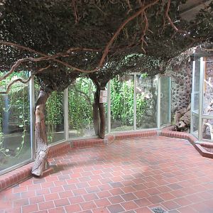 Aquarium/Reptile House - various exhibits