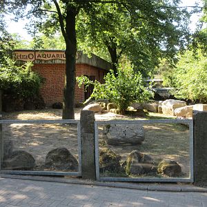 Aquarium/Reptile House - Aldabra Tortoise outdoor area
