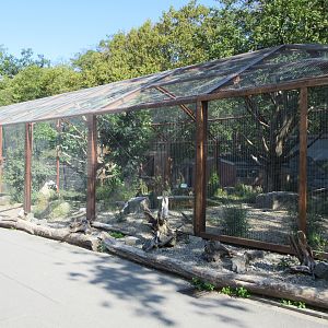 European Black Vulture/Northern Bald Ibis Exhibit