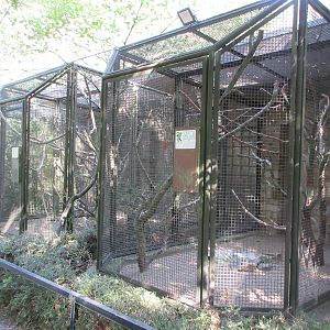 Various old aviaries