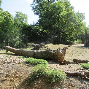 Lesser Kudu/Blue Crane Exhibit