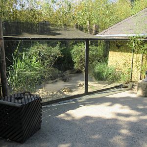 Desert House - Sand Cat Outdoor Exhibit