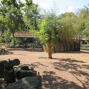 White Rhino/Chapman's Zebra/Red River Hog Exhibit