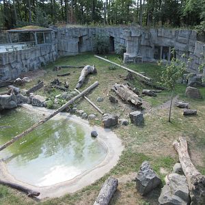 Kajanaland - Hybrid Bear + Silver Fox Exhibit