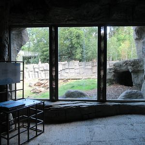 Kajanaland - Hybrid Bear + Silver Fox Exhibit