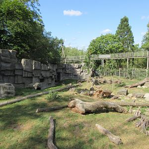 Kajanaland - Hybrid Bear + Silver Fox Exhibit