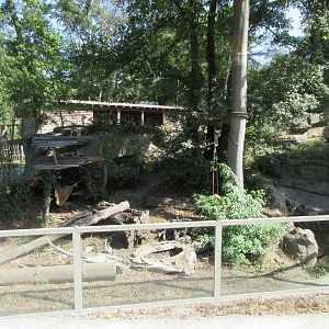 Kajanaland - Raccoon/European Mink Exhibit