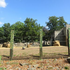 Asian Elephant Exhibit
