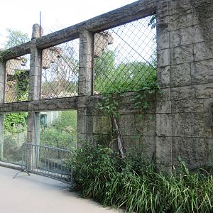 Angkor Wat - Sumatran Tiger Exhibit