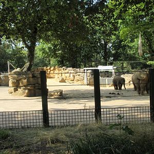 Asian Elephant Exhibit