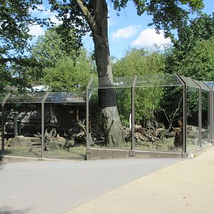 Small-clawed Otter Exhibit