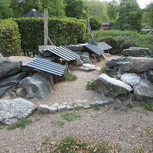 Walk-through Humboldt Penguin Exhibit - shelters