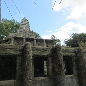 Angkor Wat - Pig-tailed Macaque 'Temple'