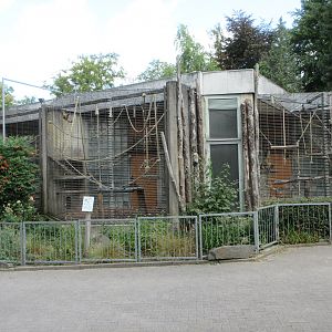 Monkey House - Brown Capuchin Exhibits