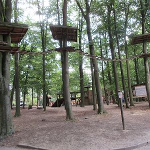 Coati Exhibit - overhead pathways