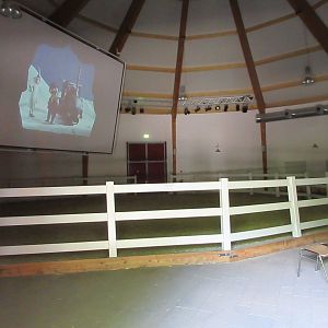 Equine Museum - Ring + Screen