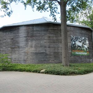 Equine Museum