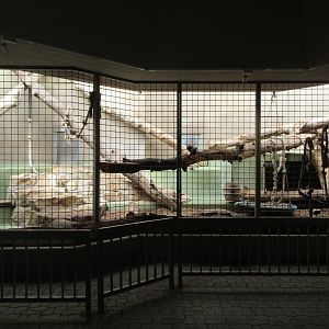 Syrian Brown Bear Exhibit - indoor viewing
