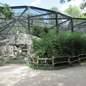 Persian Leopard Exhibit