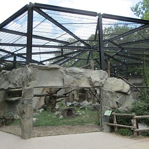 Persian Leopard Exhibit