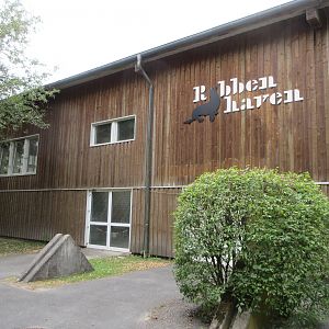 Seal Haven - indoor California Sea Lion Exhibit