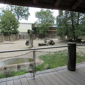 White Rhino Exhibit