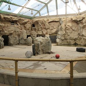 Asian Elephant House