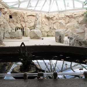 Leaf-cutter Ants + Fish Pool + Elephant House