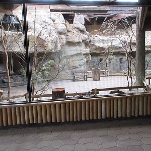 Rainbow Lorikeet Aviary (inside Elephant House)