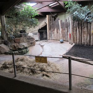 White Rhino House