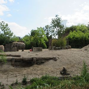 Asian Elephant Exhibit