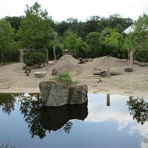 Asian Elephant Exhibit