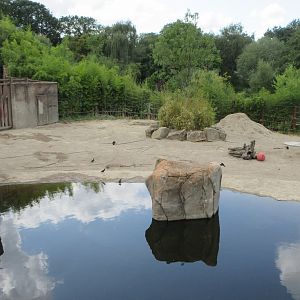 Asian Elephant Exhibit