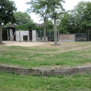 Reticulated Giraffe Exhibit