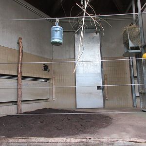 Giraffe House - Stall