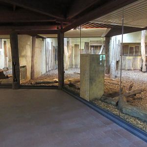 African Lion Exhibit - superb indoor area