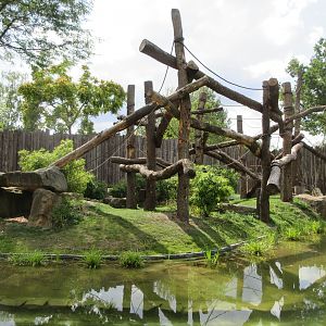 Lowland Gorilla/Red-capped Mangabey Exhibit #2