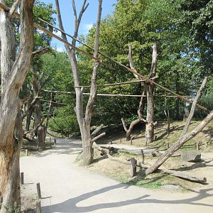 Colobus Walk-through Exhibit