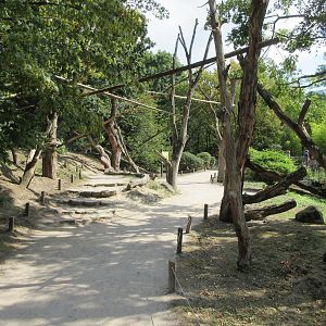 Colobus Walk-through Exhibit