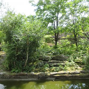 Black and White Ruffed Lemur Exhibit