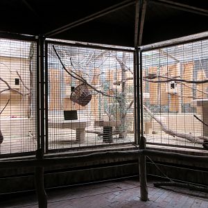 Black and White Ruffed Lemur Exhibit - indoor area