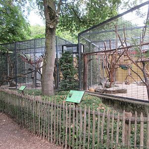 Yellow-breasted Capuchin Exhibits