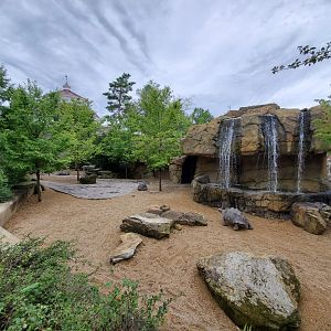 Aug. 2019 - Reptile House - Galapagos Tortoise Exhibit (Former Monkey Island)