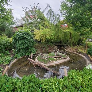 Aug. 2019 - Reptile House - Cooter/Mississippi Map Turtle Exhibit (Former Cockatoo Island)